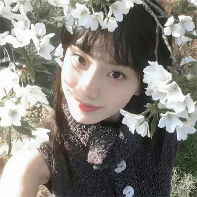 兔子谜题
